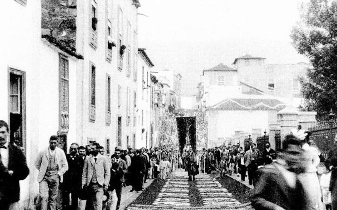 DOMINGO IN ALBIS